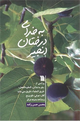 کتاب به خدای درختان انجیر اثر محسن حسن زاده انتشارات سروش