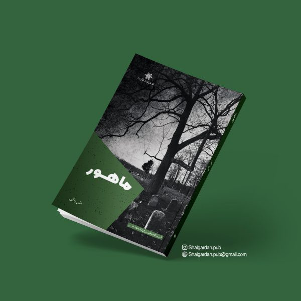 کتاب داستان مصور مشتی بر دهان نوهی چاپلین اثر مهدی محب نشر شالگردن