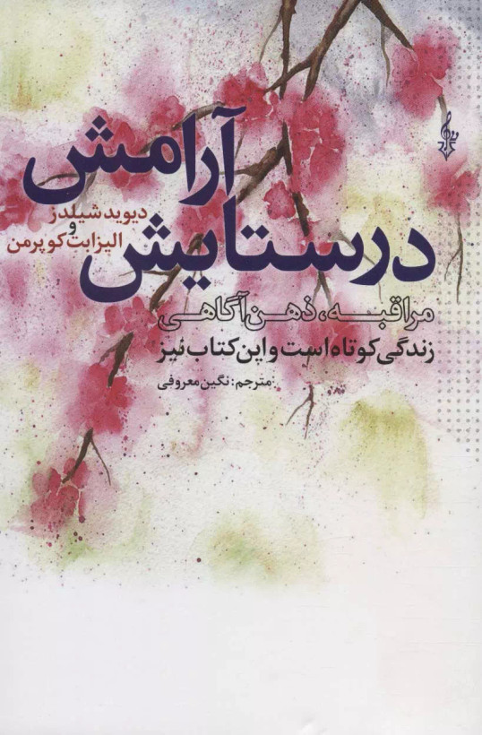 کتاب ستایش درآرامش اثر دیویدشیلدز نشر ترانه